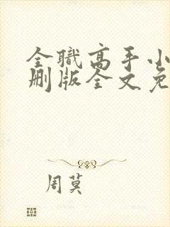 全职高手小说未删版全文免费阅读