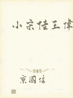 小宋佳王伟封面