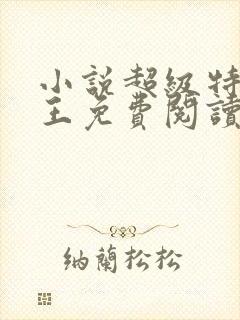 小说超级特战兵王免费阅读