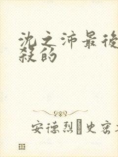沈之沛最后被谁杀的