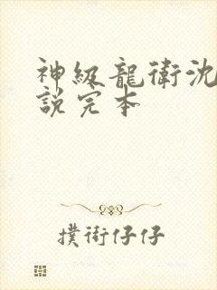 神级龙卫沈浪小说完本