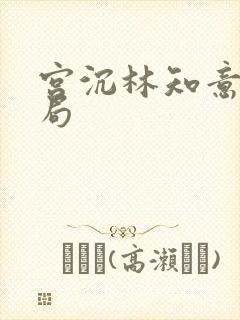 宫沉林知意大结局封面