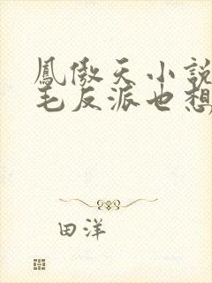 凤傲天小说里黄毛反派也想要幸福封面