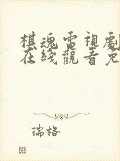 棋魂电视剧全集在线观看免费播放