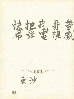 快把我哥带走曾希舜电视剧