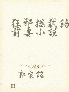 狂邪总裁的巨星前妻小说封面
