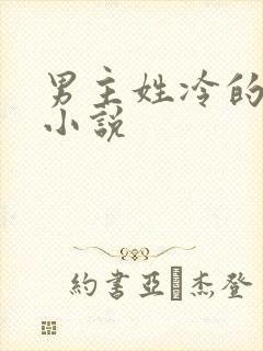 男主姓冷的总裁小说