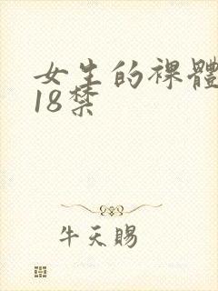 女生的裸体网站18禁