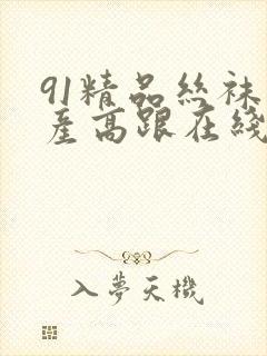 91精品丝袜国产高跟在线