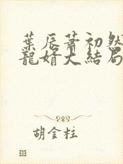 叶辰萧初然上门龙婿大结局封面