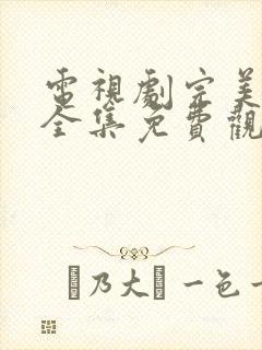 电视剧完美伴侣全集免费观看封面