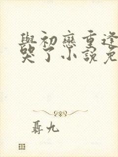 与初恋重逢后被哭了小说免费阅读