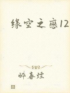 缘空之恋12集封面
