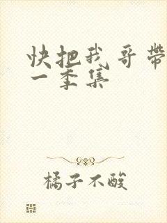 快把我哥带走第一季集
