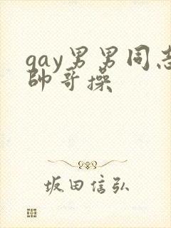 gay男男同志帅哥操