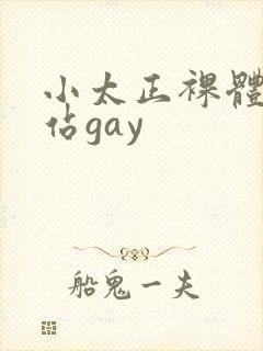 小太正裸体黄网站gay