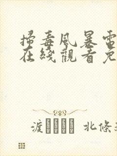 扫毒风暴电视剧在线观看免费全集高清