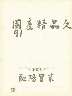 国产精品久久久 91