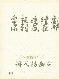 电视连续剧妈妈你到底在哪里