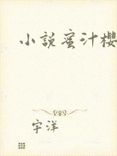 小说蜜汁樱桃