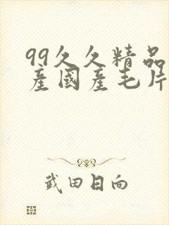 99久久精品国产国产毛片