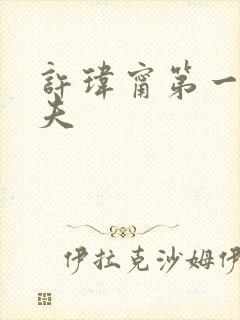许玮甯第一任丈夫