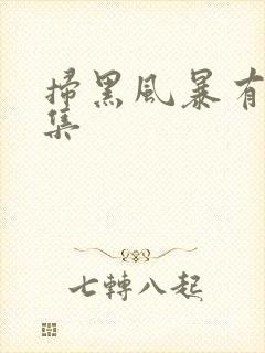扫黑风暴有多少集封面