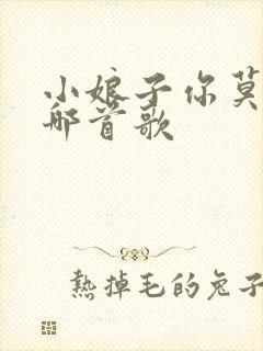 小娘子你莫愁是哪首歌