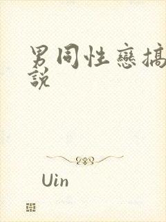 男同性恋搞基小说