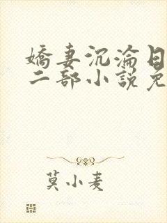 娇妻沉沦日记第二部小说免费阅读封面