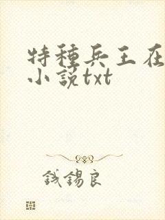 特种兵王在山村小说txt