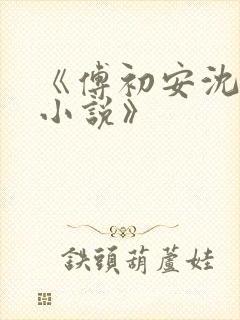 《傅初安沈南雾小说》