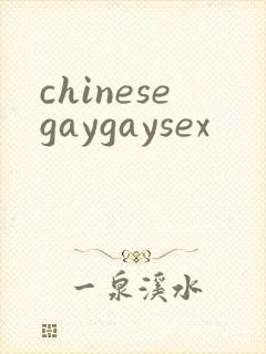 chinesegaygaysex封面