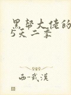 黑帮大佬的365天二季