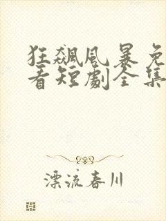 狂飙风暴免费观看短剧全集封面