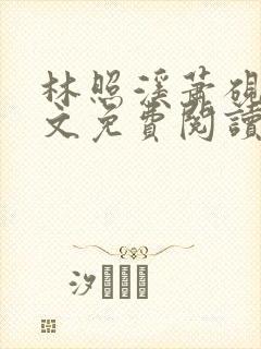 林照溪萧砚川全文免费阅读封面