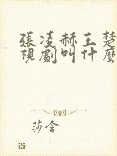 张凌赫王楚然电视剧叫什么名字封面