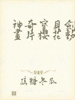 神奇宝贝剑盾动画片樱花动漫免费观看封面