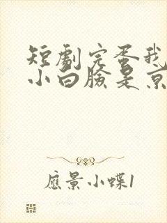 短剧完蛋我养的小白脸是京圈太子爷封面