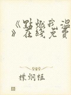 《点燃我温暖你》在线免费观看