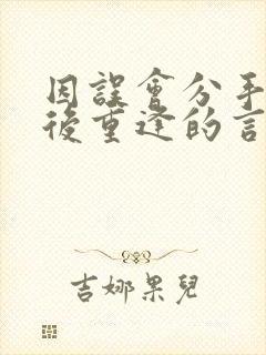 因误会分手多年后重逢的言情小说