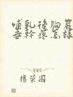哺乳后胸严重下垂干瘪怎样丰胸