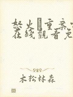 怒火·重案电影在线观看免费完整版封面