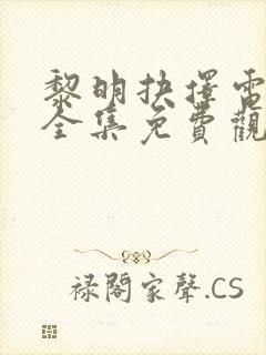 黎明抉择电视剧全集免费观看高清