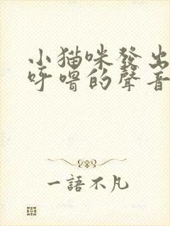 小猫咪发出呼噜呼噜的声音怎么回事