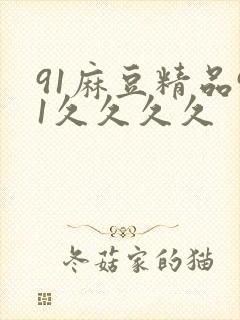 91麻豆精品91久久久久封面