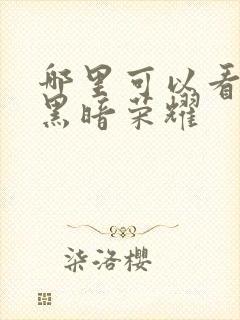 哪里可以看韩剧黑暗荣耀