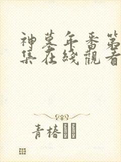 神墓年番第10集在线观看