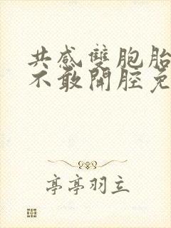 共感双胞胎by不敢开腔免费阅读封面