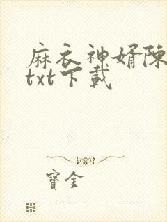 麻衣神婿陈黄皮txt下载